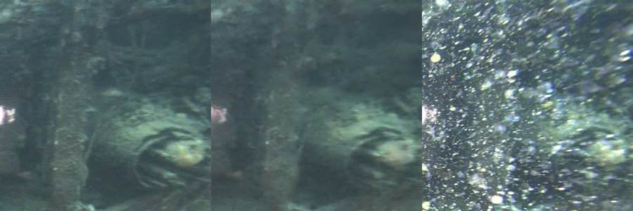 Marine Snow Removal Using Internally Generated Pseudo Ground Truth preview