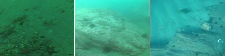 Visual Enhancement and 3D Representation for Underwater Scenes: A Review preview